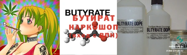 шишки Магас