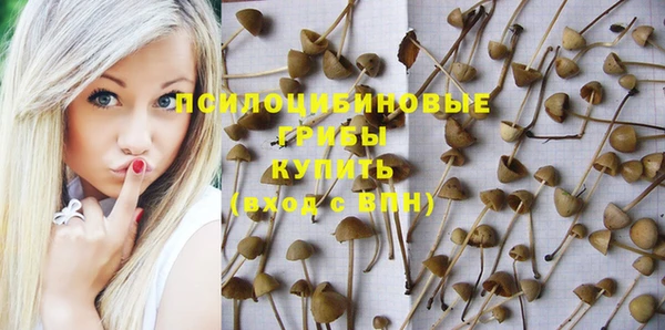 mdma Медвежьегорск