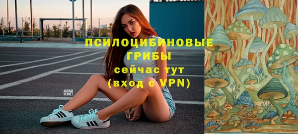 mdma Медвежьегорск