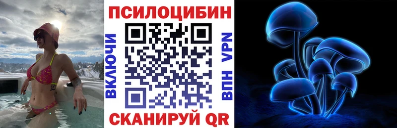 маркетплейс какой сайт  Пущино  Псилоцибиновые грибы Psilocybe 
